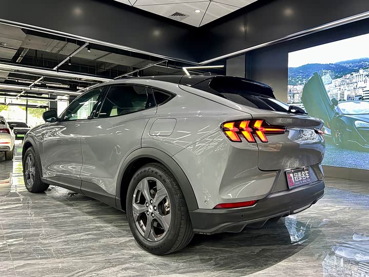 Ford Mustang Mach-E, 2022 — фото 7 из 9