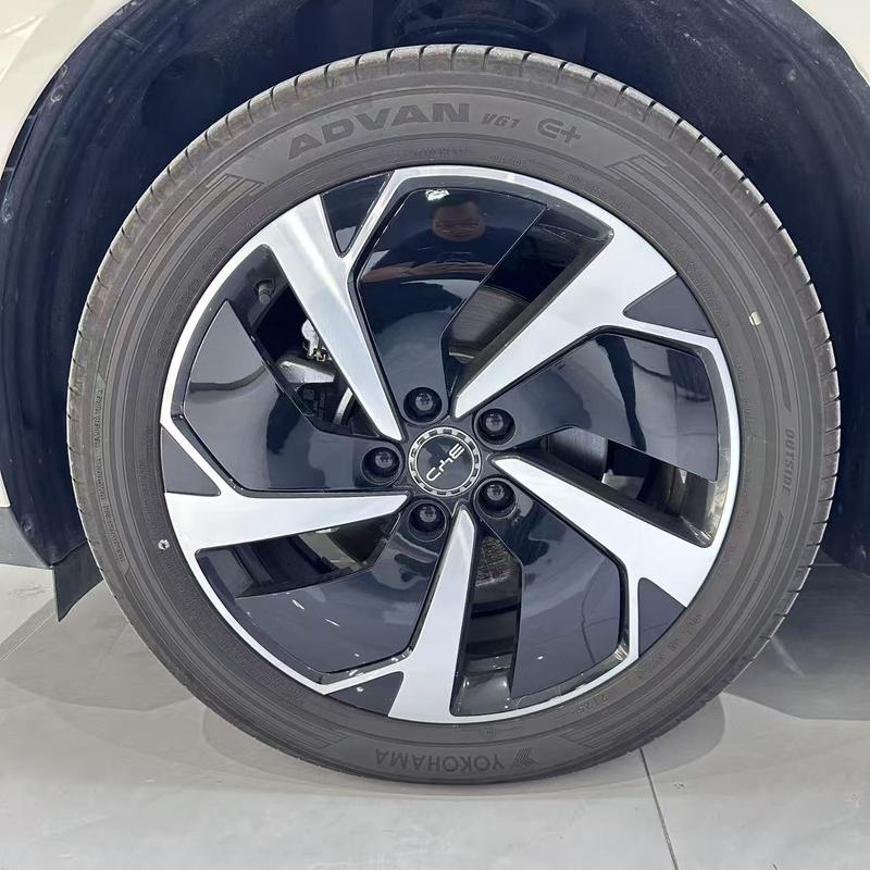 BYD Sea Lion 06 Hybrid/EV, 2025 — фото 6 из 11