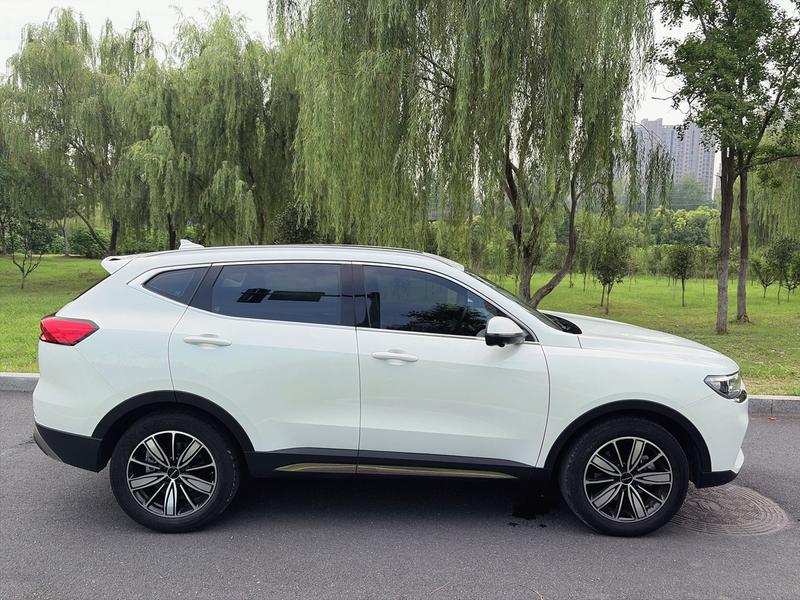 Haval H6, 2023 — фото 8 из 12