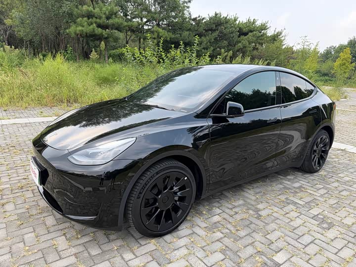 Tesla Model Y, 2022 — купить в Самаре под ключ