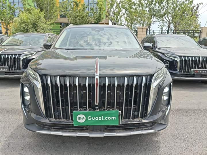 Hongqi HS7 Hybrid, 2024 — фото 3 из 9