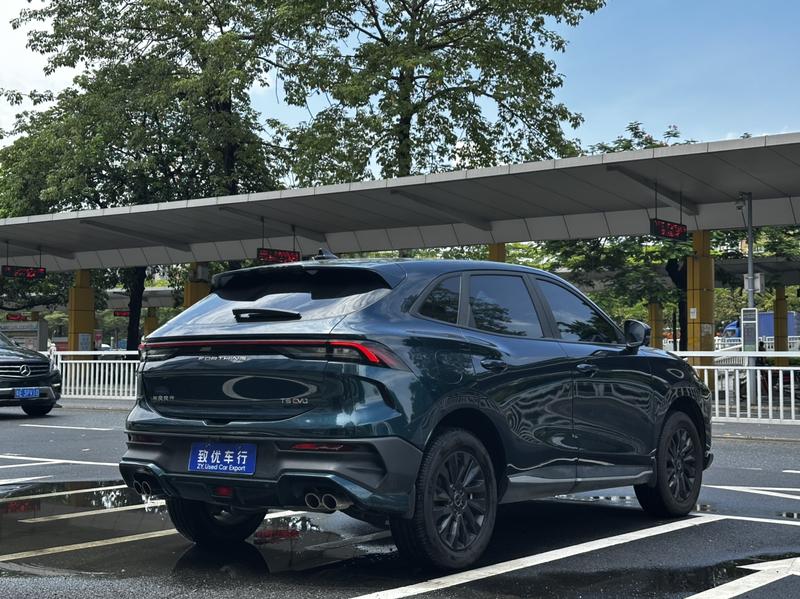 Dongfeng Forthing T5 EVO, 2024 — фото 6 из 12