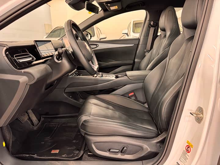 BYD Seal 06 Hybrid/EV, 2024 — фото 8 из 9