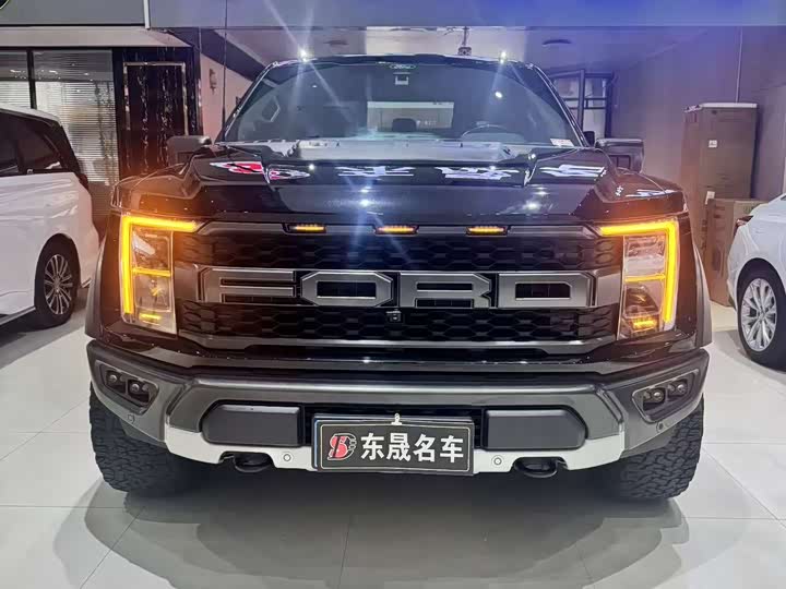 Ford F-150 Raptor, 2023 — фото 3 из 9