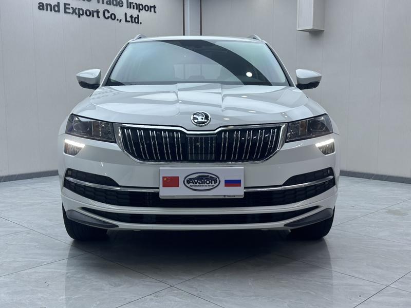 Skoda Karoq, 2024 — фото 2 из 12