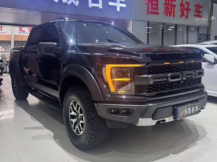 Ford F-150 Raptor, 2023 — фото 2 из 9