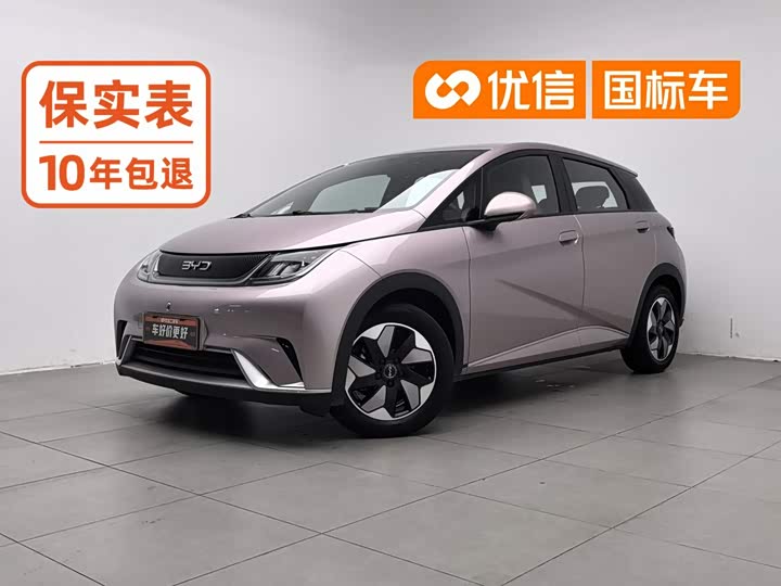 BYD Dolphin, 2024 — купить в Курске под ключ