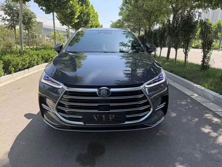 BYD Tang Hybrid/EV, 2022 — фото 2 из 9
