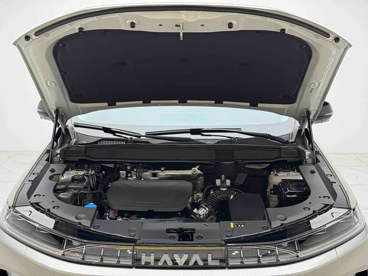 Haval Ruge Max, 2025 — фото 5 из 9