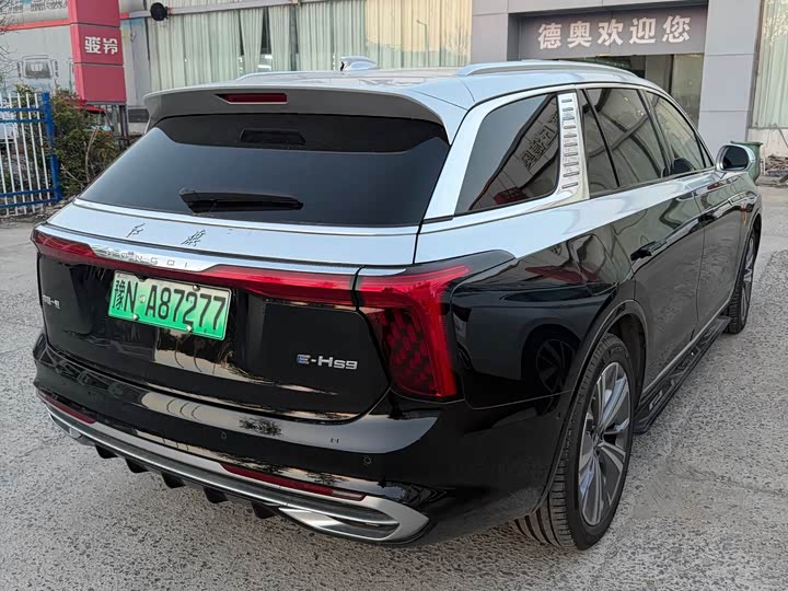 Hongqi E-HS9, 2023 — фото 6 из 7