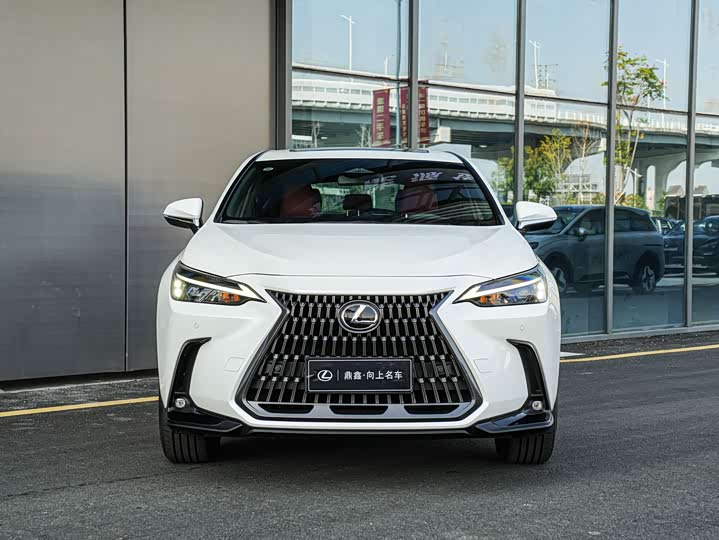Lexus NX, 2023 — фото 2 из 9