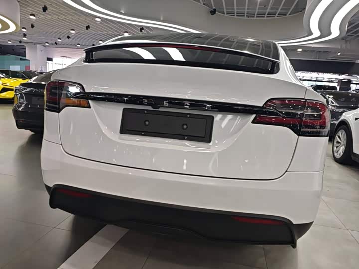 Tesla Model X, 2023 — фото 6 из 9