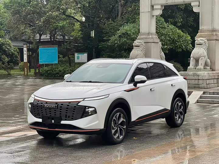 Haval F7 (Monster), 2021 — фото 2 из 9