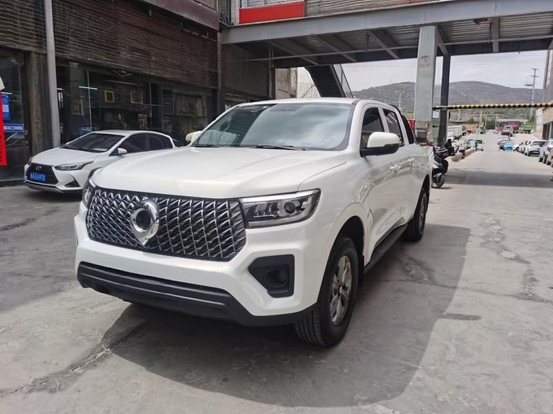 Great Wall Pao, 2023 — купить в Казани под ключ