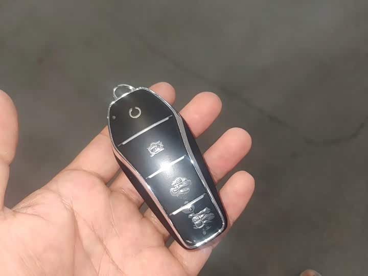 BYD Sea Lion 06 Hybrid/EV, 2025 — фото 9 из 9