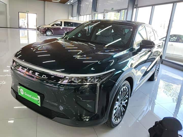 Exeed RX C-DM Hybrid, 2024 — фото 2 из 9