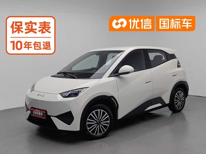 BYD Seagull, 2025 — купить в Смоленске под ключ