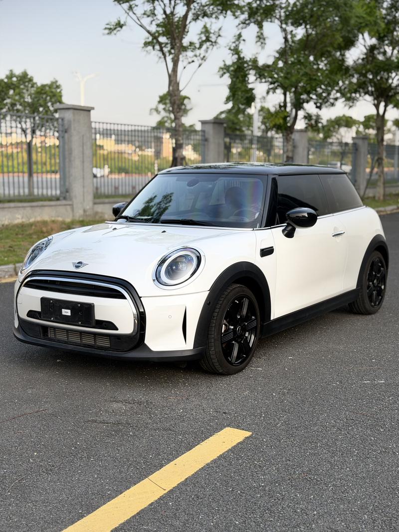 Mini Mini, 2023 — купить в Твери под ключ