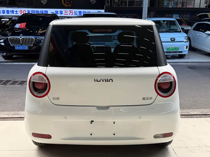 Changan Qiyuan (Nevo) Lumin, 2024 — фото 5 из 9