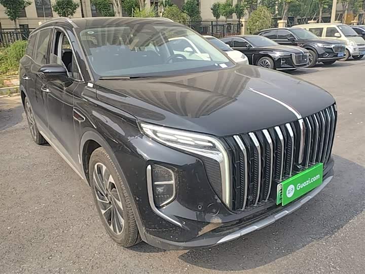 Hongqi HS7 Hybrid, 2024 — фото 4 из 9