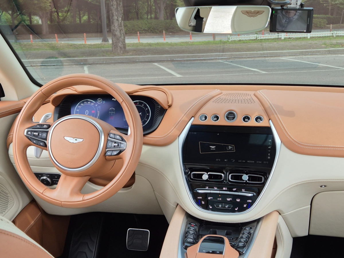 Aston Martin DBX, 2022 — фото 12 из 12