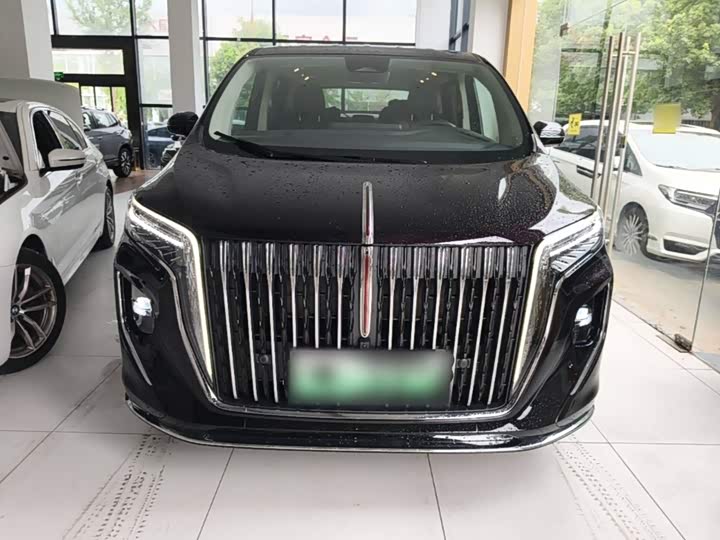 Hongqi HQ9 Hybrid, 2024 — фото 3 из 9