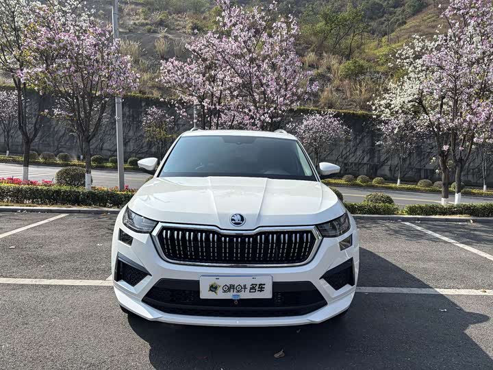 Skoda Kodiaq, 2024 — фото 2 из 9