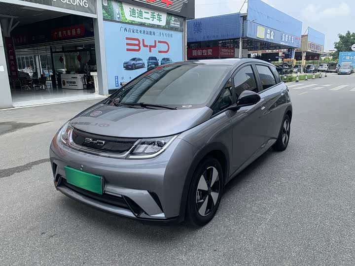 BYD Dolphin, 2024 — купить в Тамбове под ключ