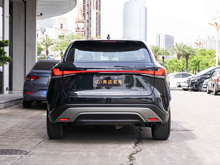 Lexus RX, 2024 — фото 5 из 9