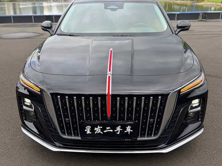 Hongqi H5, 2024 — фото 8 из 9