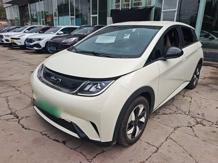 BYD Dolphin, 2026 — купить в Владимире под ключ