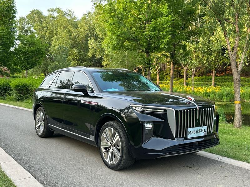 Hongqi E-HS9, 2023 — фото 3 из 12