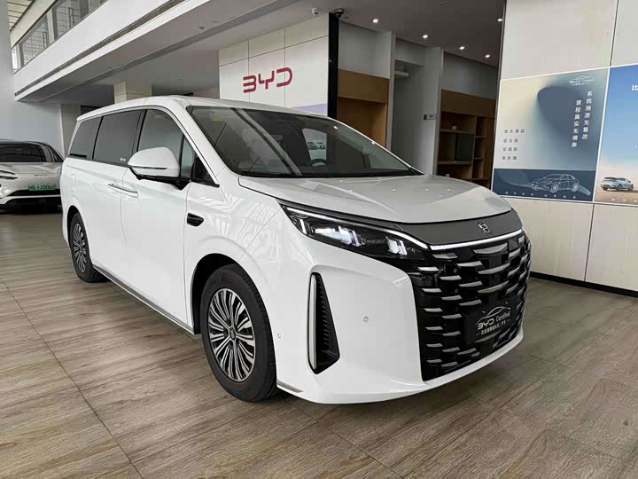 BYD Xia, 2024 — фото 3 из 9