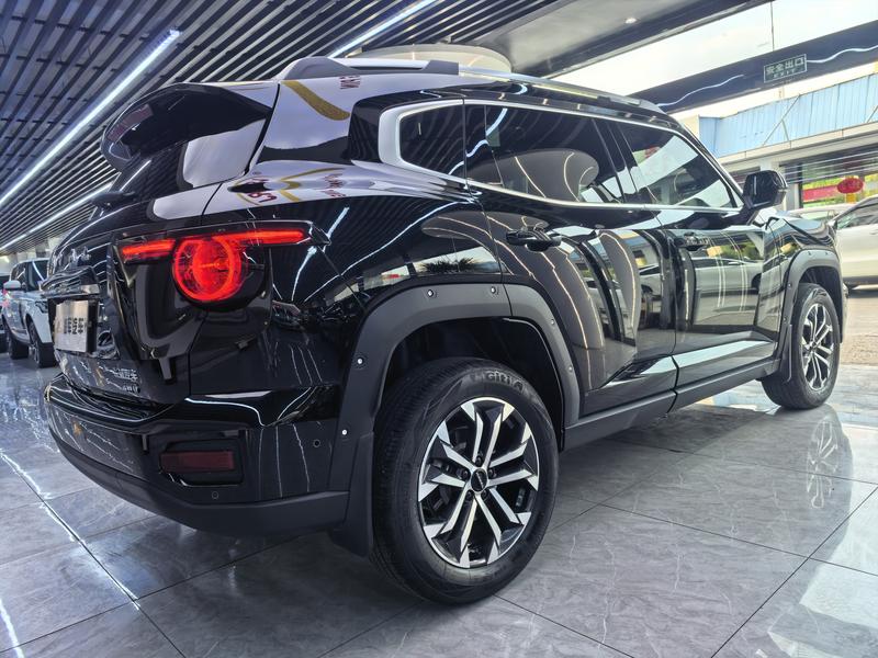 Haval H-Dog, 2023 — фото 6 из 12