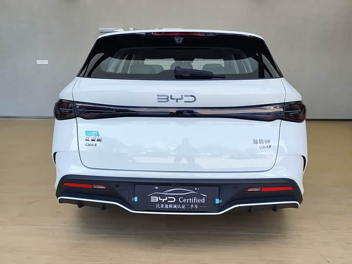 BYD Seal 06 Hybrid/EV, 2025 — фото 7 из 9