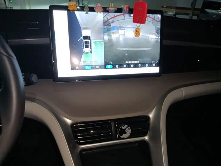 BYD Song Pro Hybrid, 2024 — фото 9 из 9