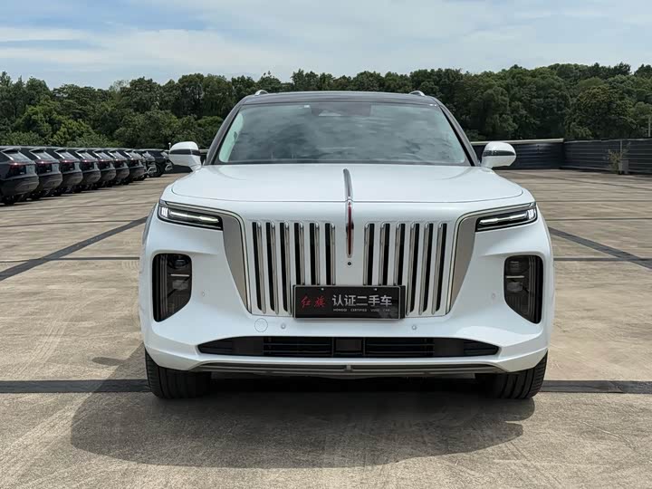 Hongqi E-HS9, 2023 — фото 2 из 9