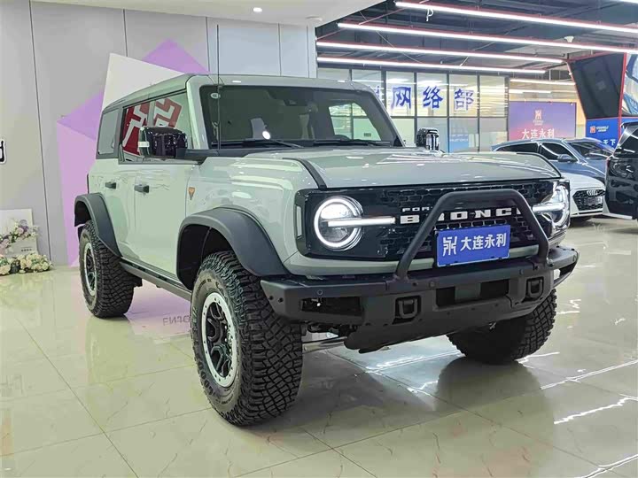 Ford Bronco, 2025 — фото 3 из 9