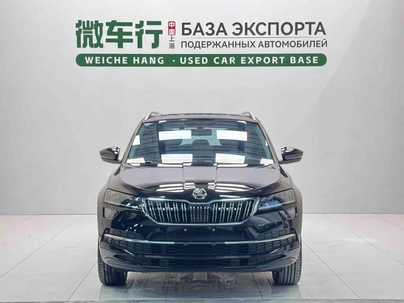 Skoda Karoq, 2023 — фото 2 из 12