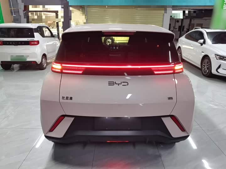 BYD Seagull, 2024 — фото 6 из 9