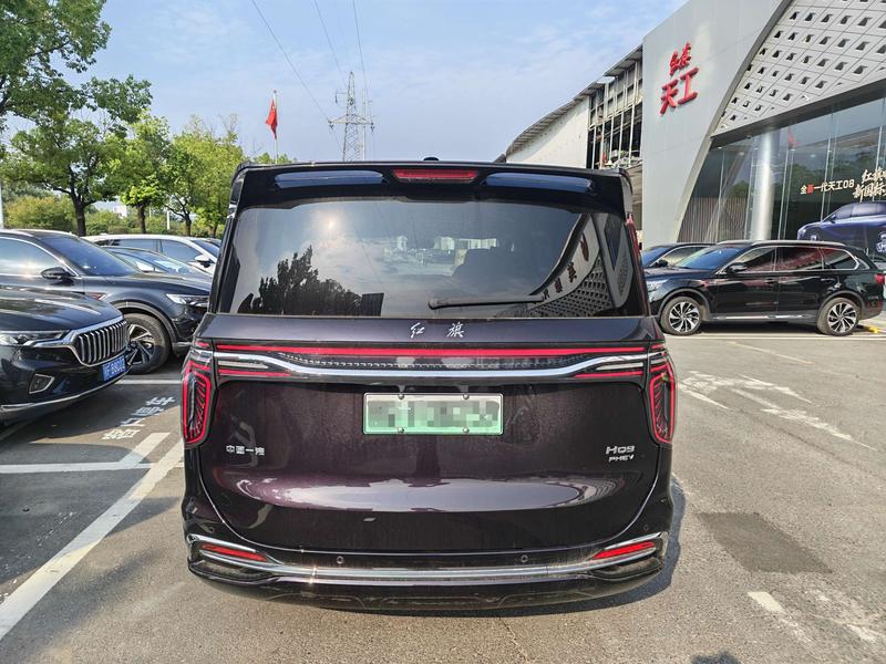Hongqi HQ9 Hybrid, 2024 — фото 3 из 12