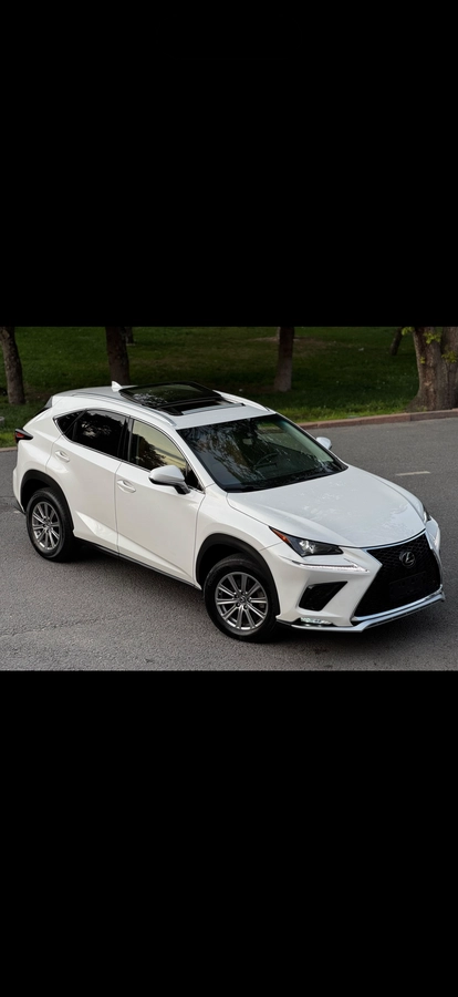 Lexus NX, 2021 — фото 3 из 12