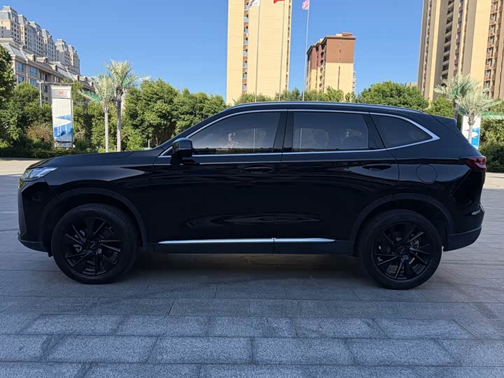 Haval H6, 2023 — фото 3 из 9