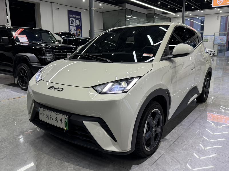 BYD Seagull, 2024 — купить в Санкт-Петербурге под ключ