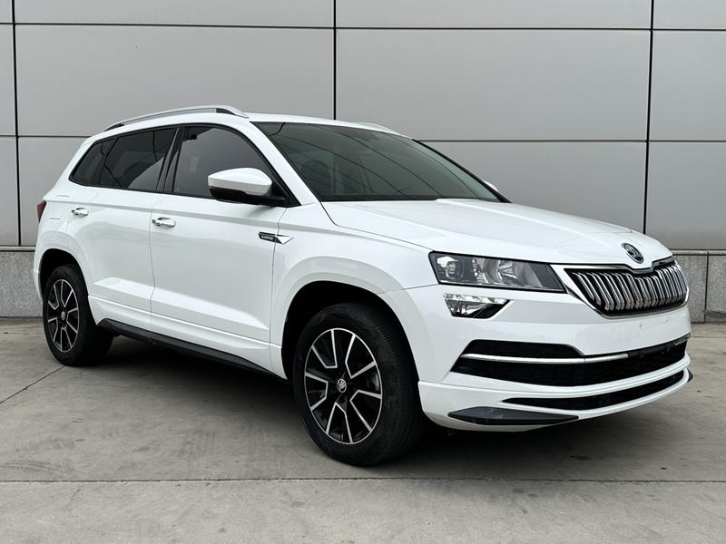 Skoda Karoq, 2024 — фото 3 из 12