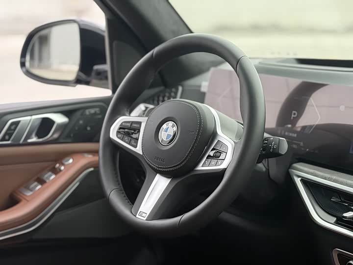 BMW X7, 2025 — фото 9 из 9