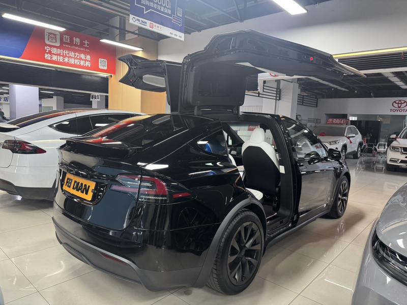 Tesla Model X, 2023 — фото 3 из 6