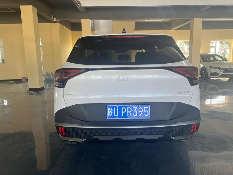 Kia Sportage, 2025 — фото 4 из 12