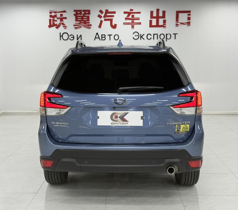 Subaru Forester, 2023 — фото 5 из 12