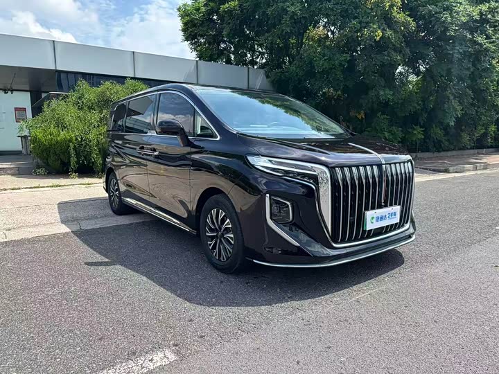 Hongqi HQ9 Hybrid, 2024 — фото 3 из 9